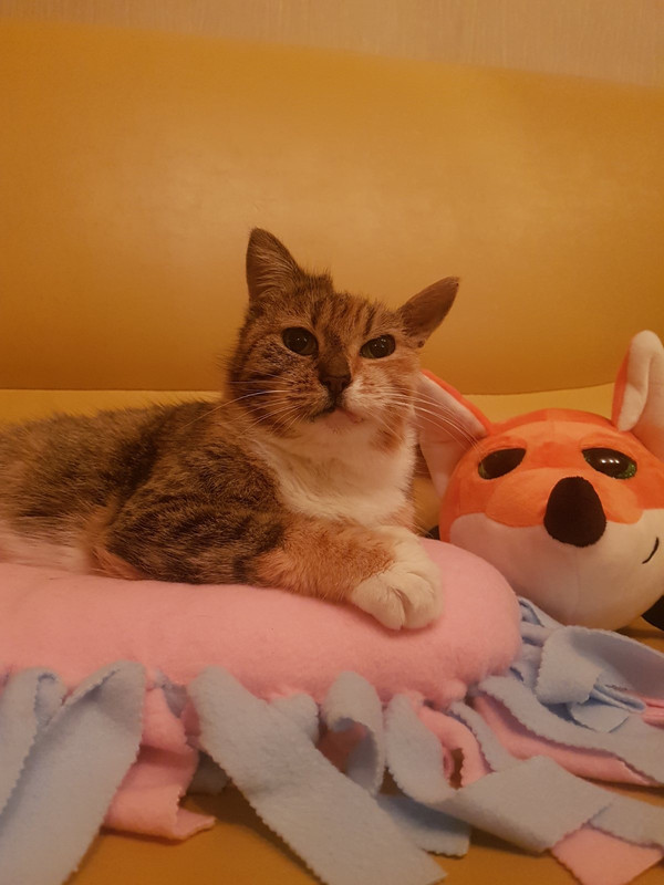 4F7D1A82-EDD3-4F41-BDD8-07C48492D2F1