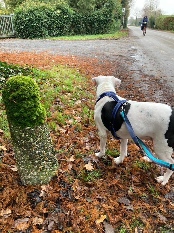 83E90B01-D6EA-458C-96EF-244D24E61BAA