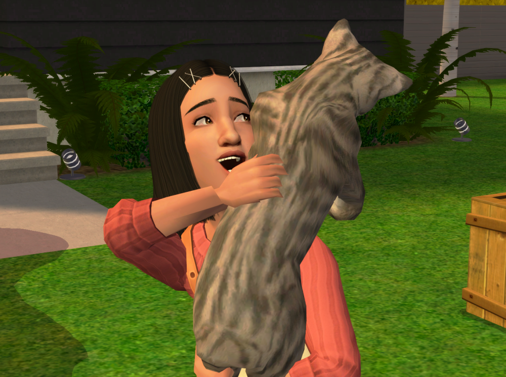 Sims2-EP9-RPC-2022-05-05-23-08-31-37