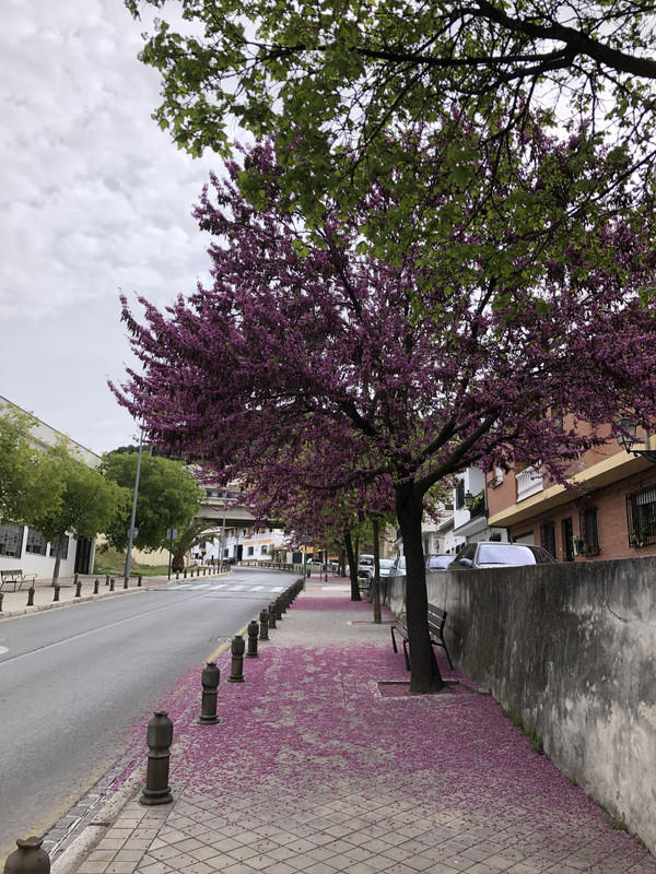 217244FB-2630-4738-B68C-05E64D63D5B2