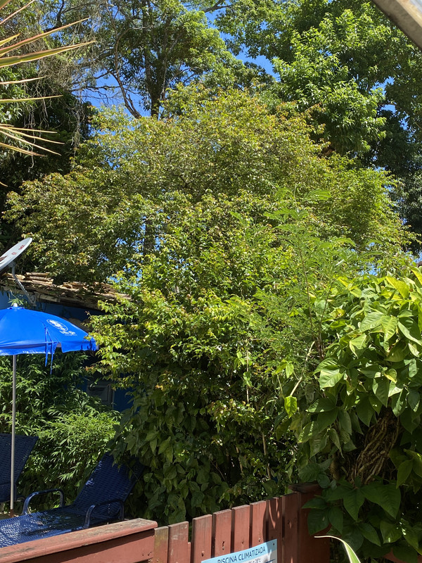 B4AEB788-CE42-48FB-B0D5-08D74E805D9C