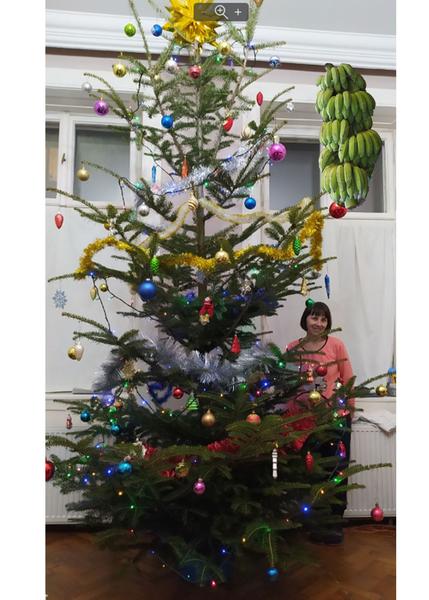 [Image: IMG-2336.jpg]