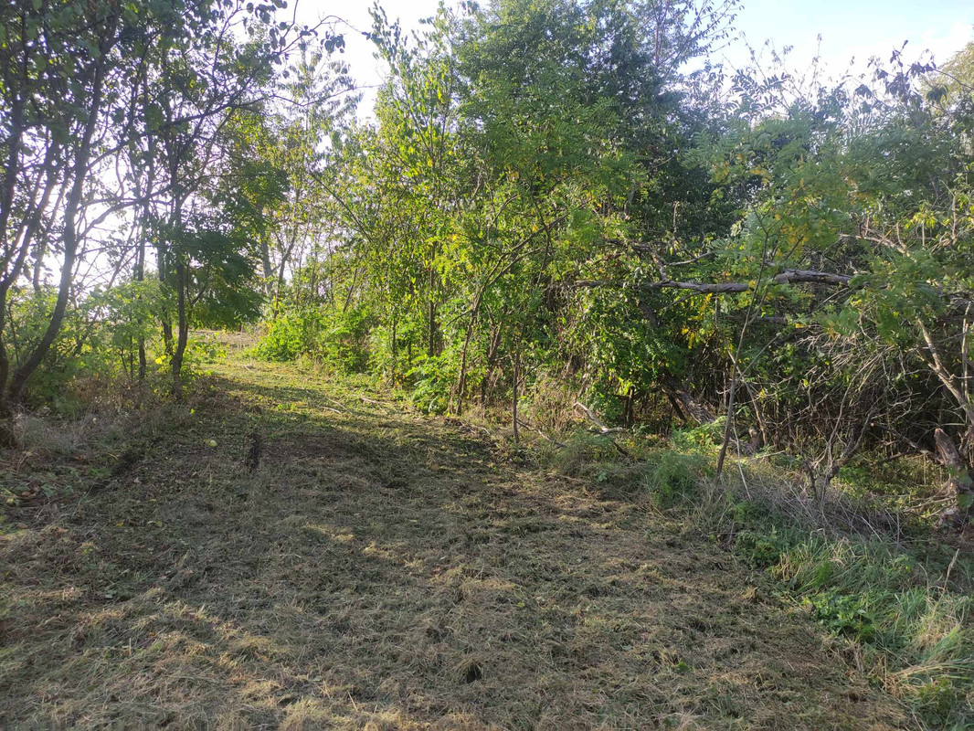 380049151_333145939375769_832599776480466430_n