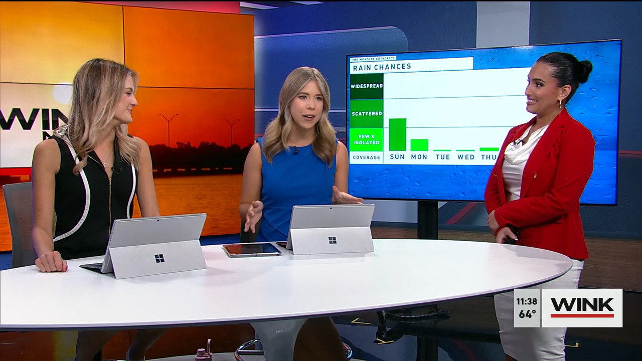 03.19 - 15.30.00 - WINK NEWS at 11 30am  ᴺᵉʷ. Midday news..ts_snapshot_14.48.664