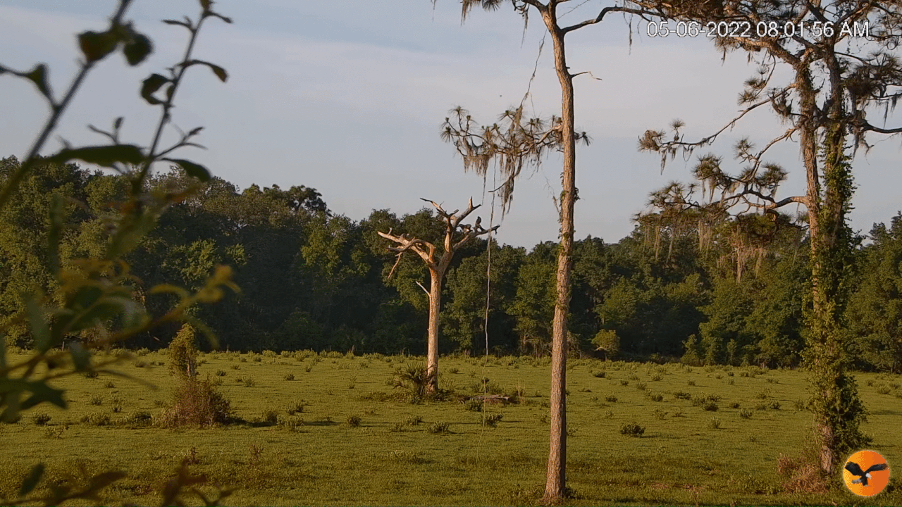 Webp.net-gifmaker (7)