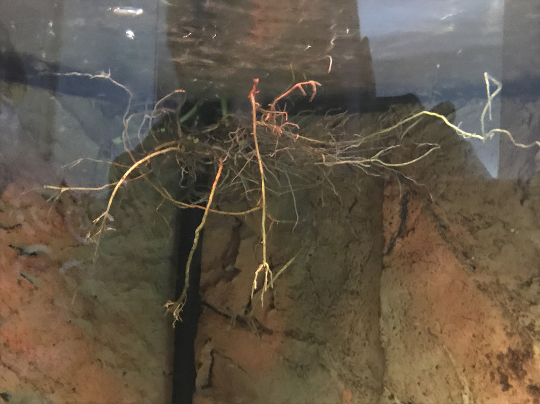 F8D86C44-244D-4635-B1D1-623002C46B6E