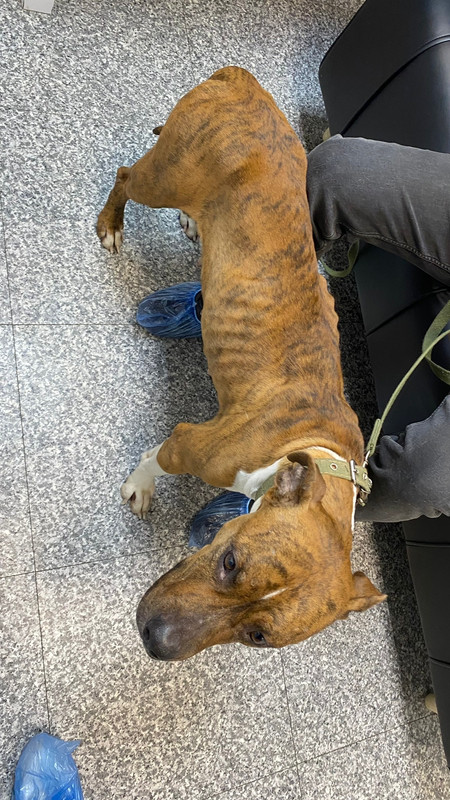 WhatsApp Image 2022-12-24 at 03.29.21 (2)