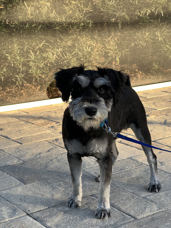 60D081CF-D670-4A48-BCA9-256CFA76C0BF