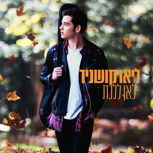 תמונה
