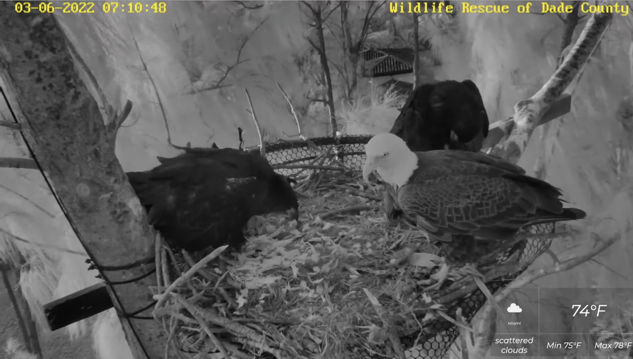 82B4D02C-CB79-4A41-9A03-F8332307D997