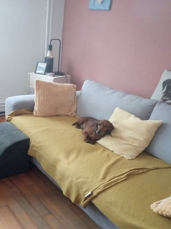 [Image: IMG-20250804-100457.jpg]