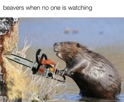 2th.jpg