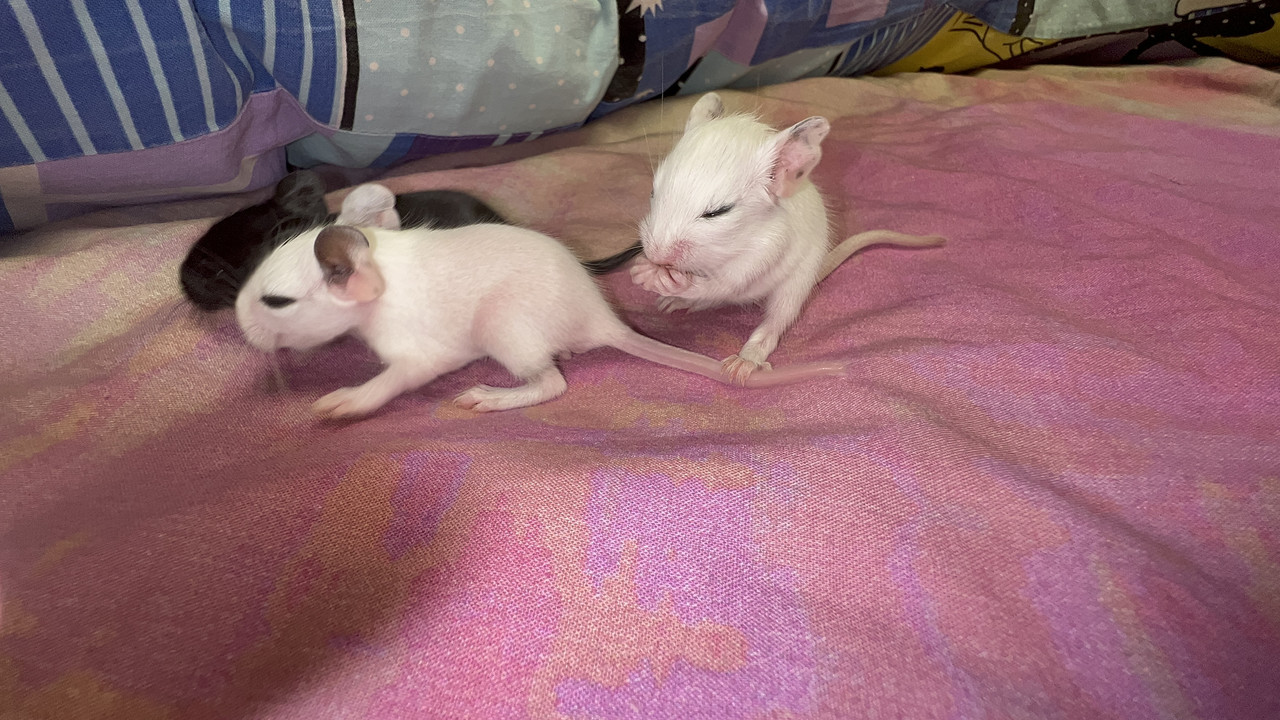 4F4A9A29-330F-4C81-92F7-05093AD7419B