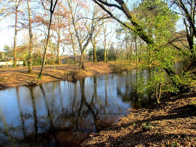 naturiste