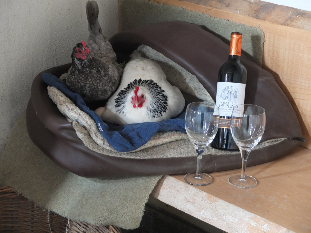 2_chickens wine (6)
