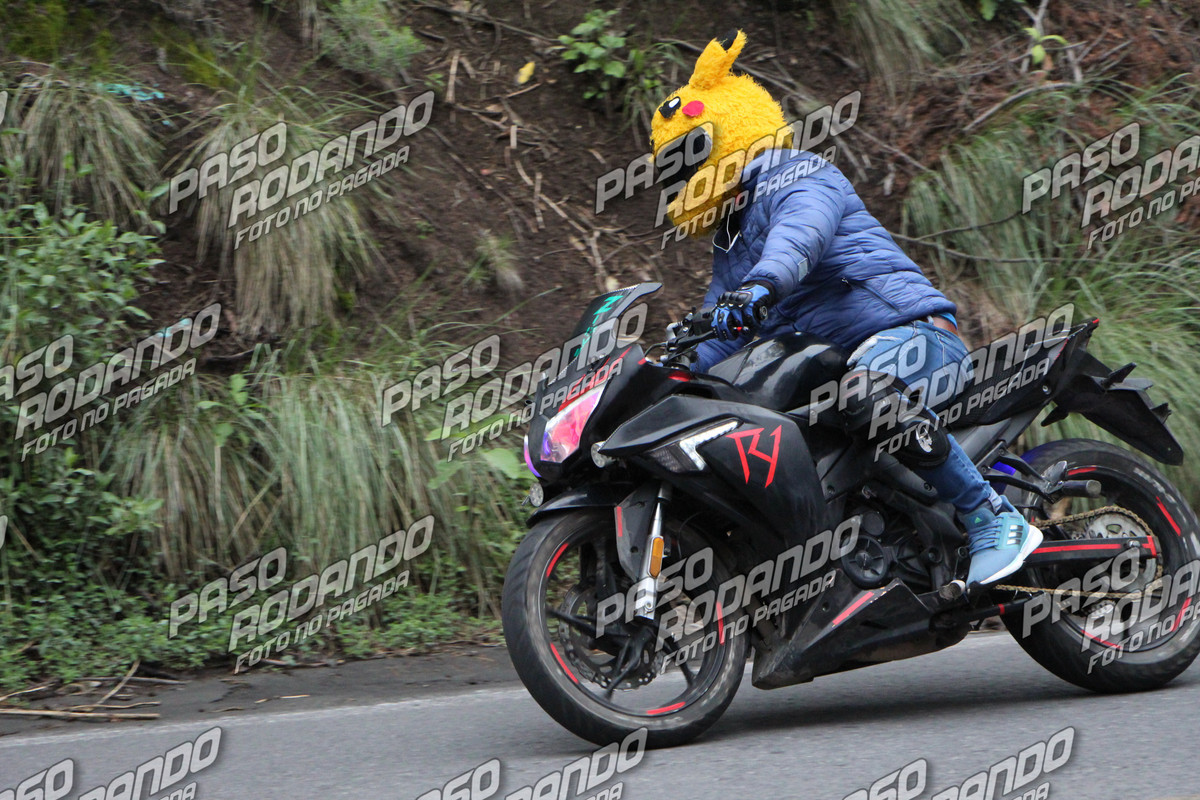 IMG_6146-wm-4686121.5_watermarked