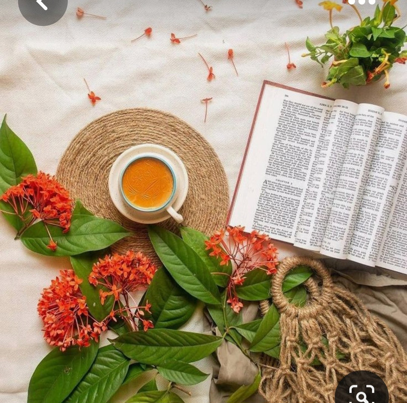 Screenshot_20230808_003823_Pinterest