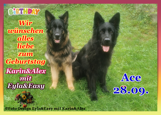 An den Beitrag angehängtes Bild: https://i.postimg.cc/0yK49XT7/Vorlage-Geburtstag-2024-png-Birthday-png-Ace-28-09.png