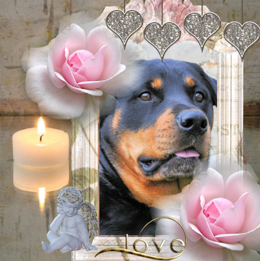 ZZZZZZZZ V 2 Sally a 7 Love Vidéo