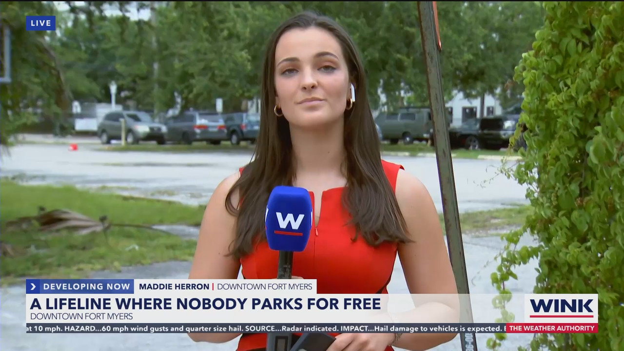 05.31 - 22.30.00 - WINK News at 5 30pm..ts_snapshot_05.39.584