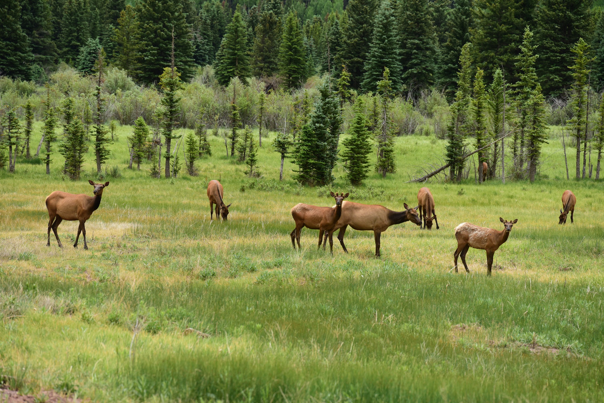 En ruta por Colorado (2022) - Blogs de USA - En ruta hacia el oeste (15)