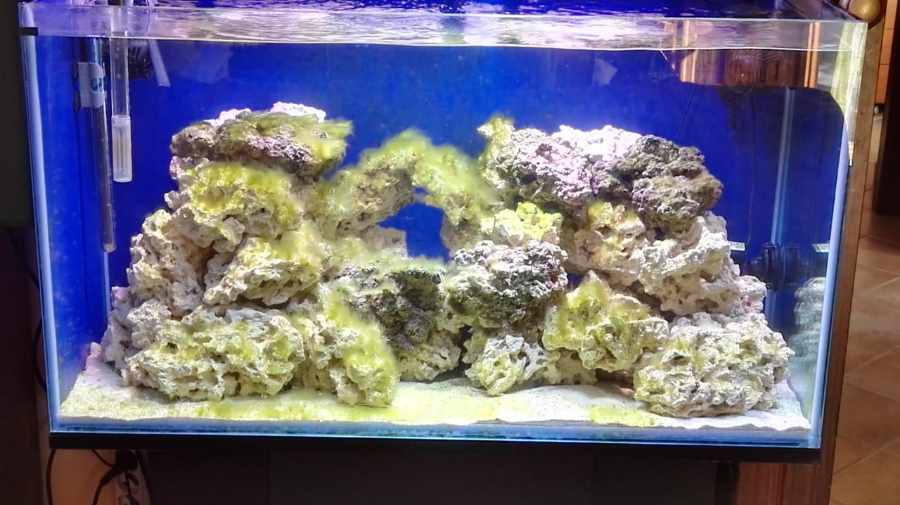 WhatsApp Image 2019-07-01 at 12.37.04 (1)