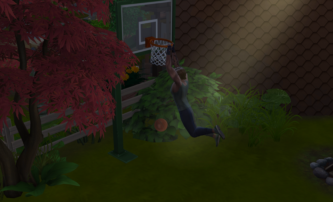 did-some-dunks.png