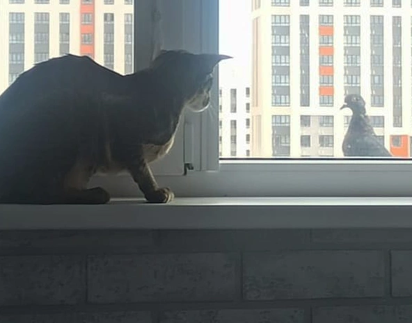 IMG_20221011_134027_851