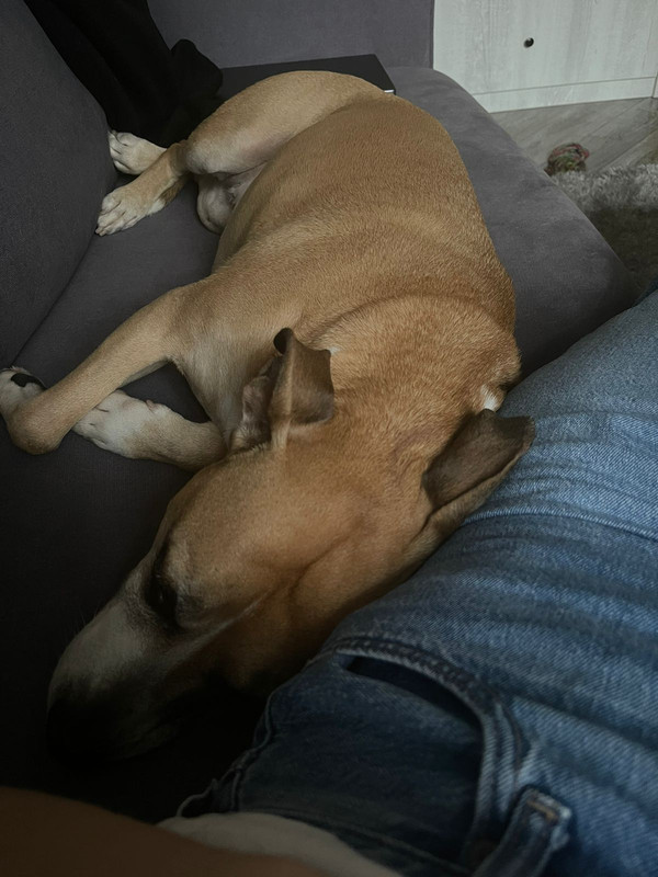 BC3A04AC-7205-486B-8753-E6150686D915