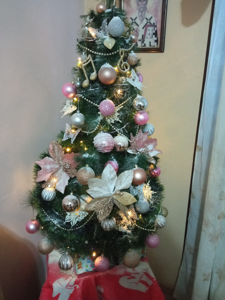 317359474_10224134881861589_775383161201337671_n