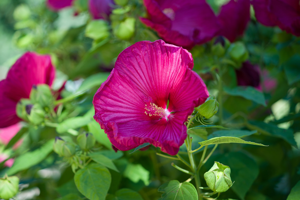 067379FD-CC0D-4A77-9AC3-29D018EF9B29