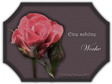 An den Beitrag angehängtes Bild: https://i.postimg.cc/0yM2KMz5/gbls9kk.png