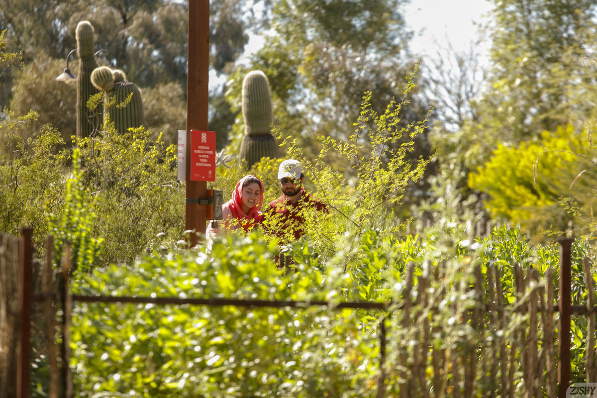Tucson Bodanical Garden0030