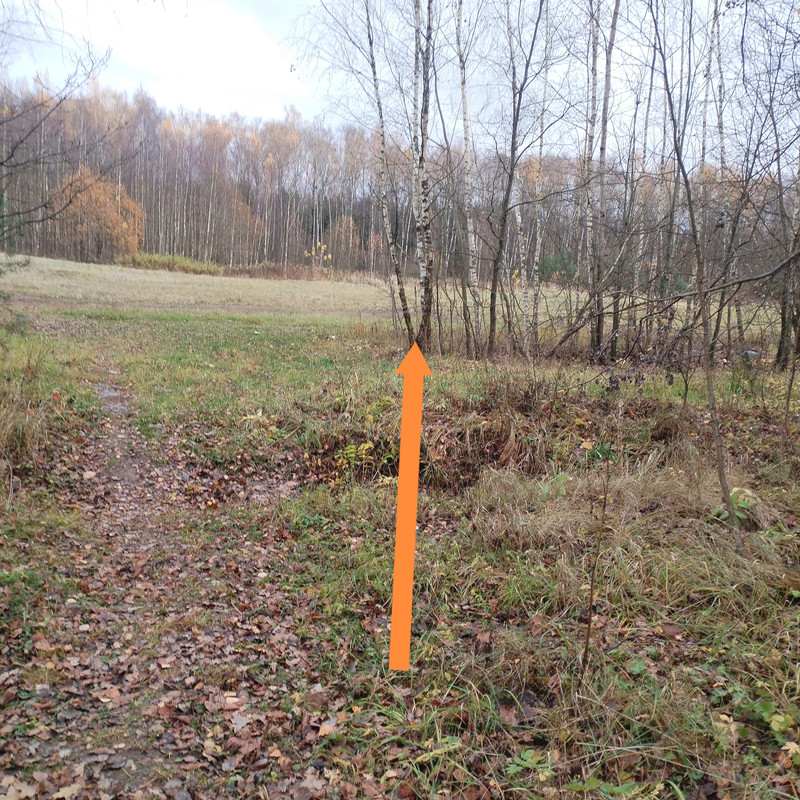 IMG 20251026 134022 edit 120434317183640