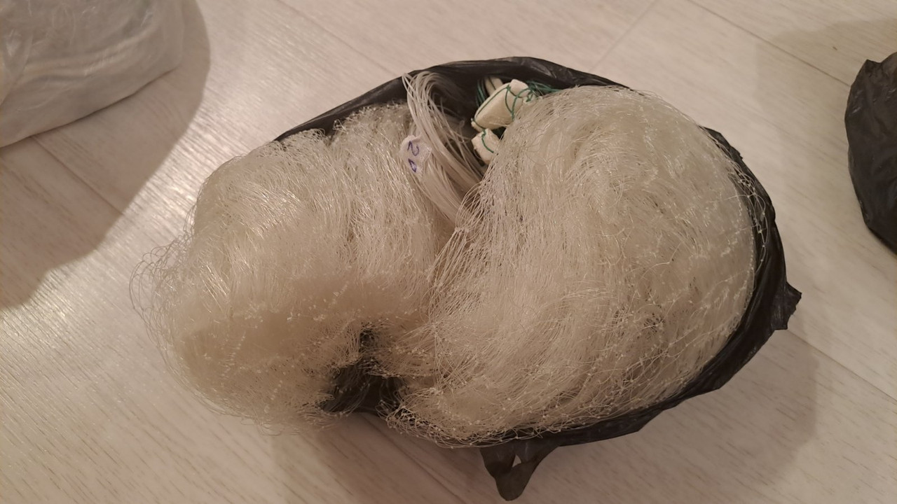 изображение_viber_2023-02-28_12-00-39-992