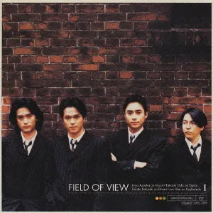 Field of View - Field of View