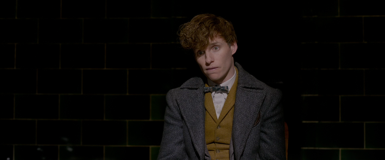 Фантастические твари Преступления Грин-де-Вальда.2018.Расширенная версия.1080p.BluRay.x264-LEONARDO.