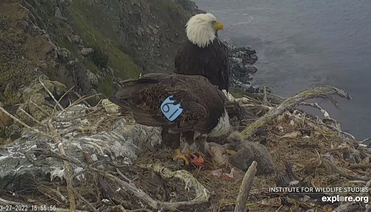 D60852A9-47C7-4D11-B2DF-EB8CE62390D9