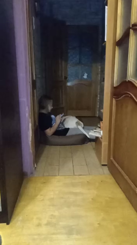 86682A61-507C-4731-AC20-C182898E0429