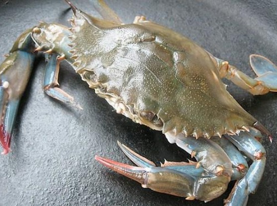 [Image: 277529256-2122093407960331-8025299065006677207-n.jpg]