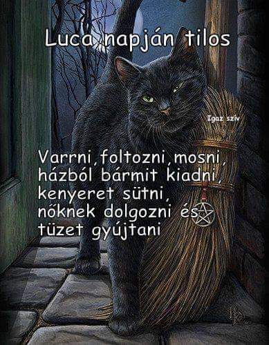 FB_IMG_1607844869159