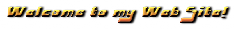 Welcome to my Web Site!