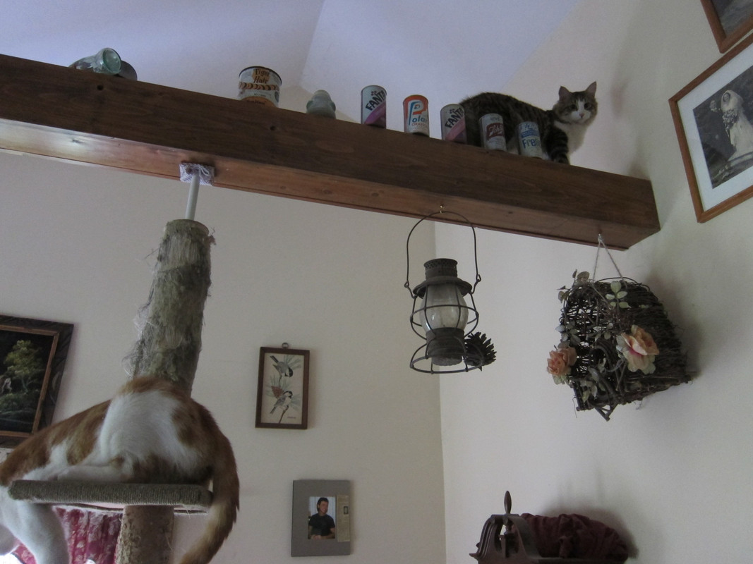 IMG-0479.jpg