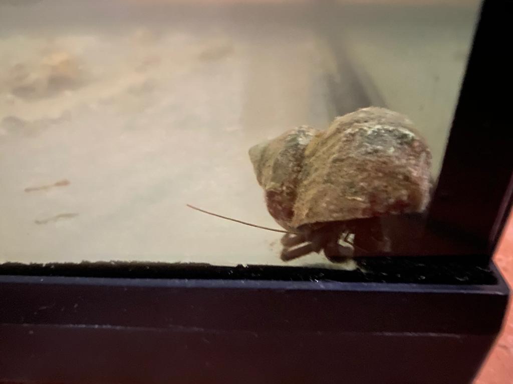 73BD9B19-0CE7-4888-8981-0567C68A3304