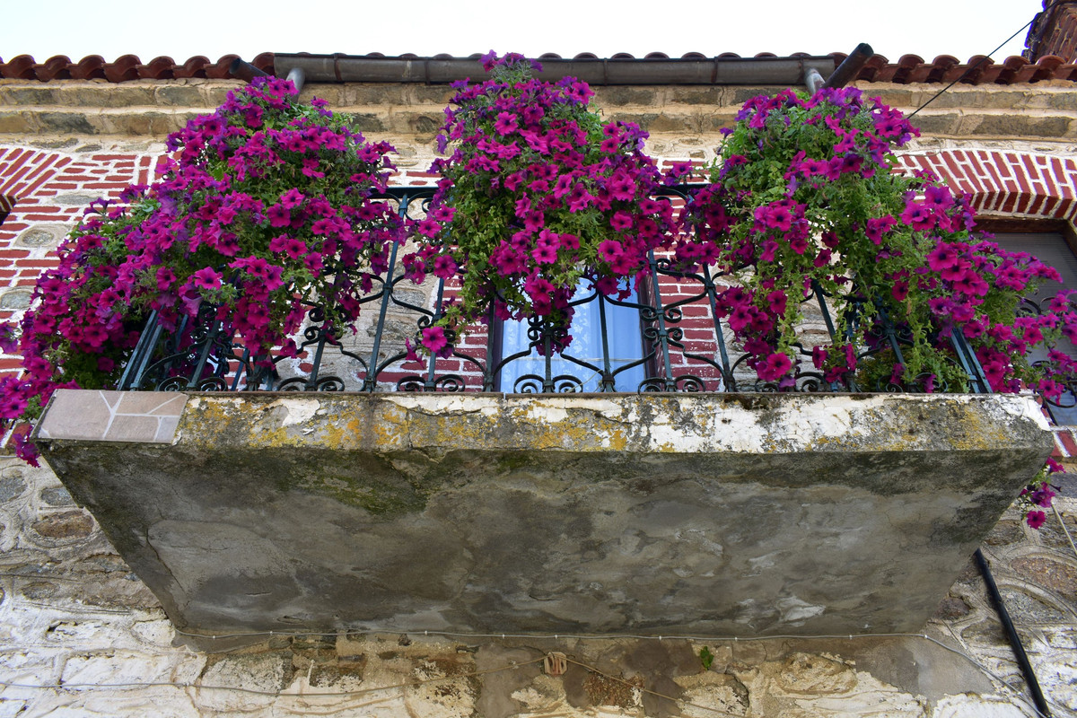 Άγιος Γερμανός (Πρέσπες) (63)