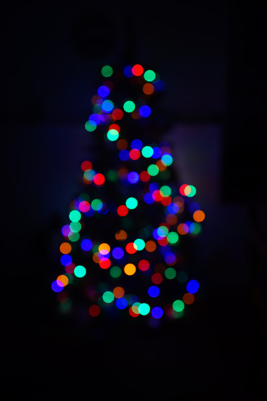 DSC03221.jpg