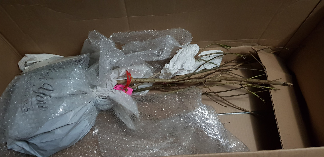 All in Box 3.12.22