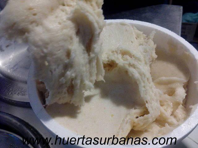 huertasurbanas_com_20180424_220618fruttos_helados_-4