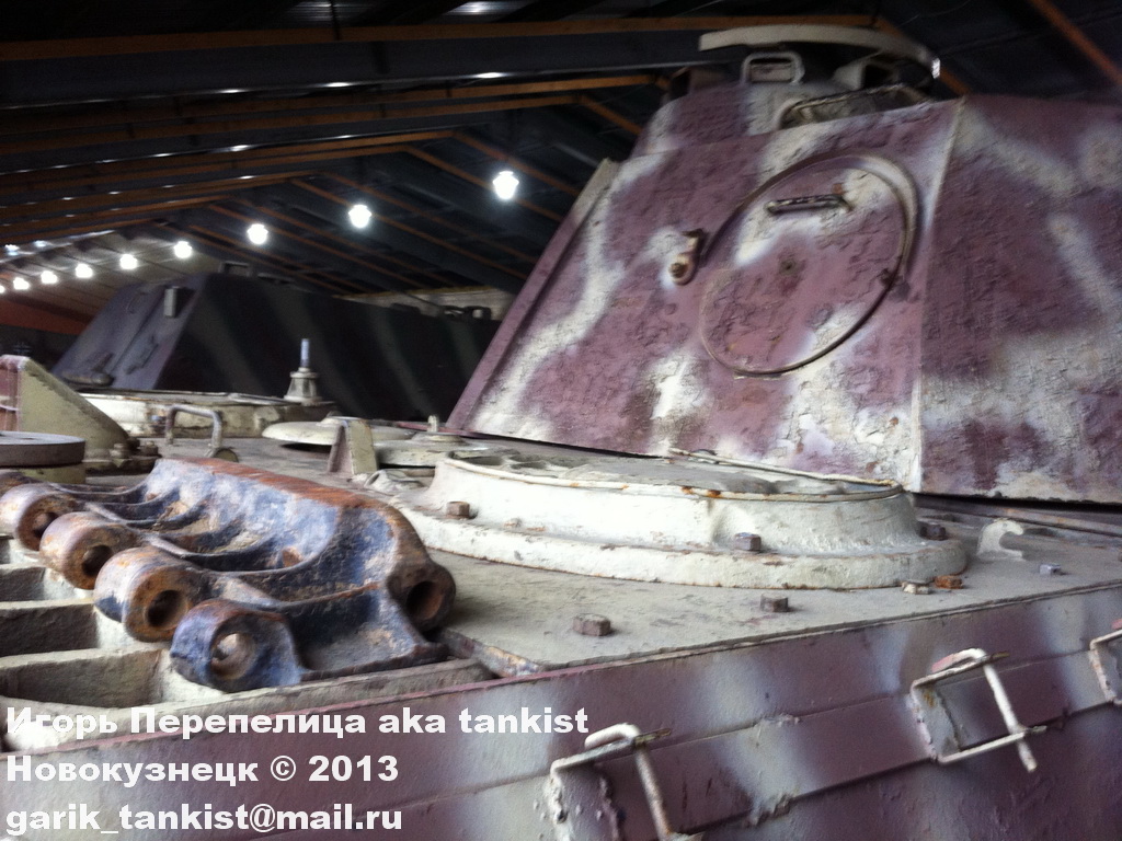 Пантера_Кубинка_081