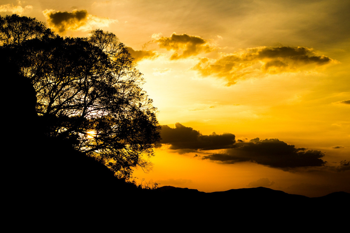 Goldorangesunsetloud.jpg